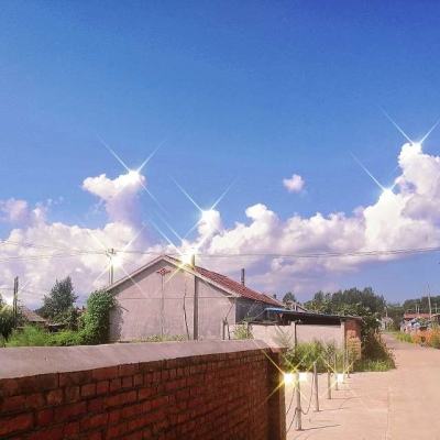 君临盛世游戏